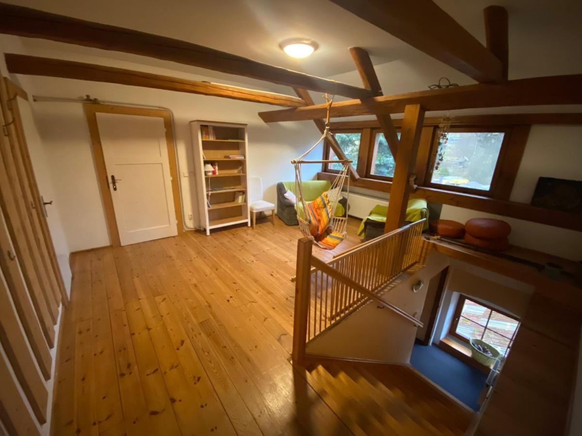 Apartment Dolni Vitkov *