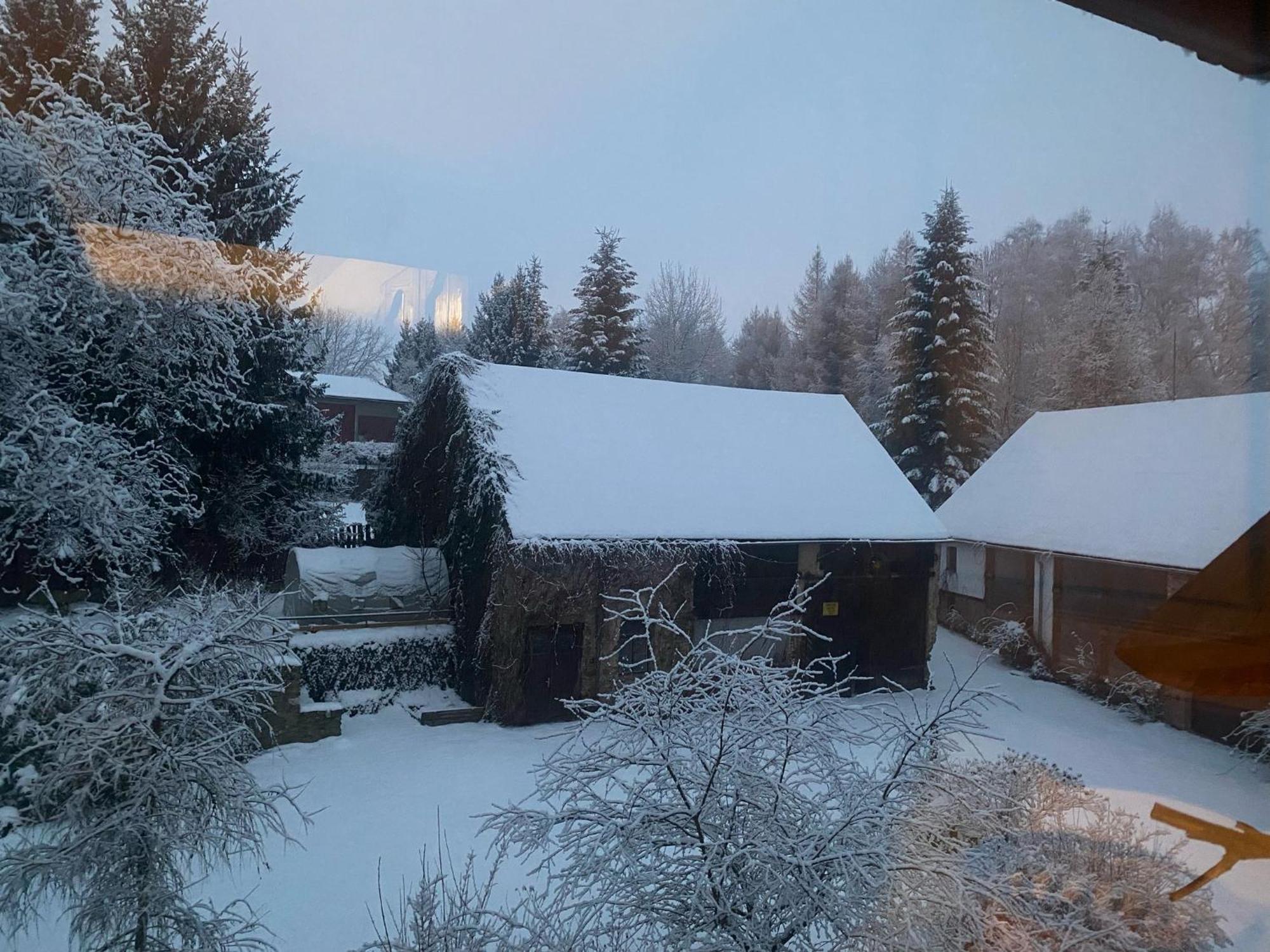 Dolni Vitkov Apartament *