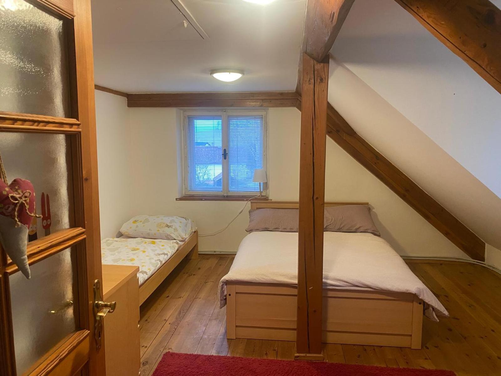 Apartament Dolni Vitkov *